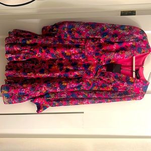 Floral long sleeve 100% silk Saloni dress NWT